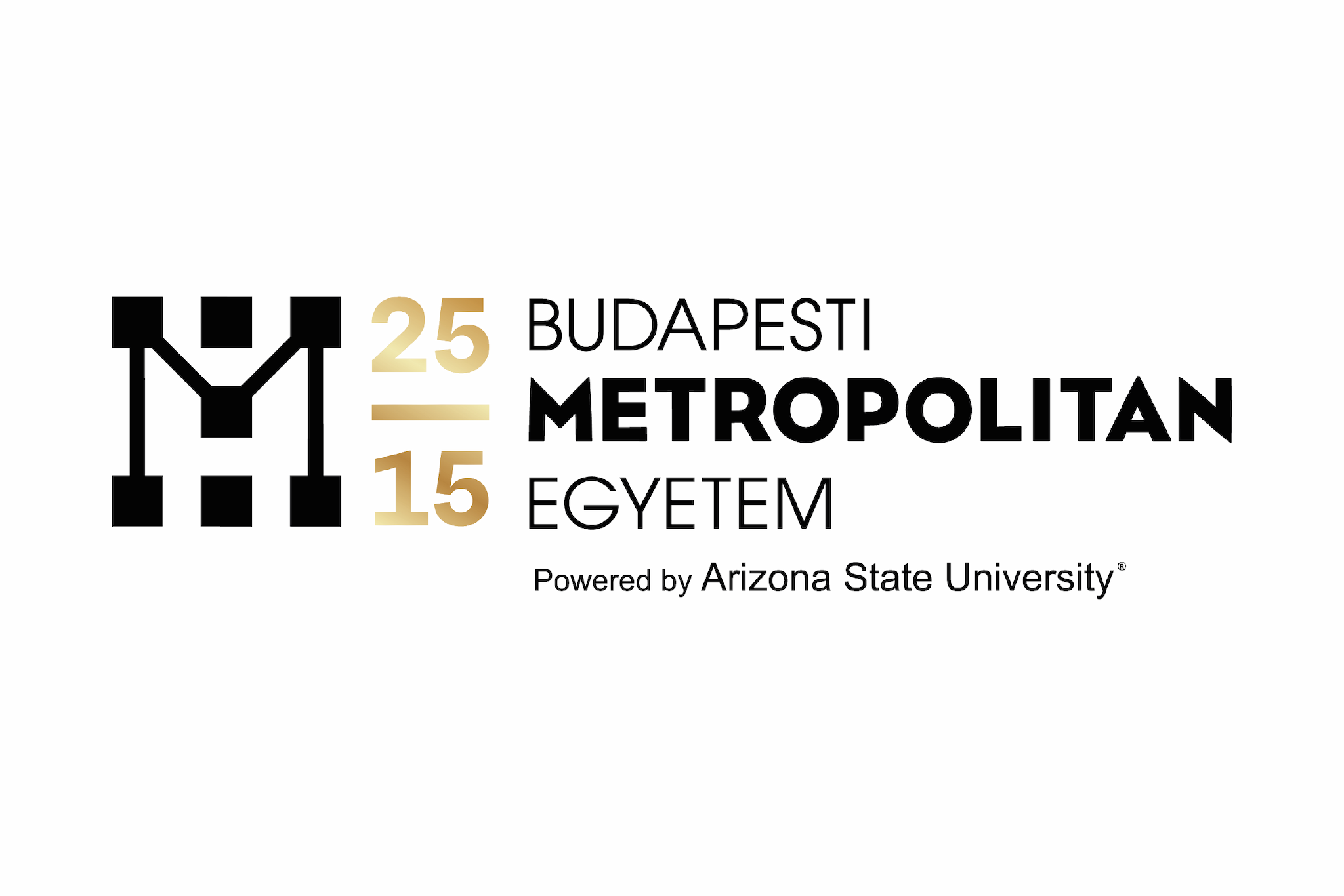 Lezárult az első posztdoktori hallgató mentorálása a METU és a European Scientific Institute együttműködésében