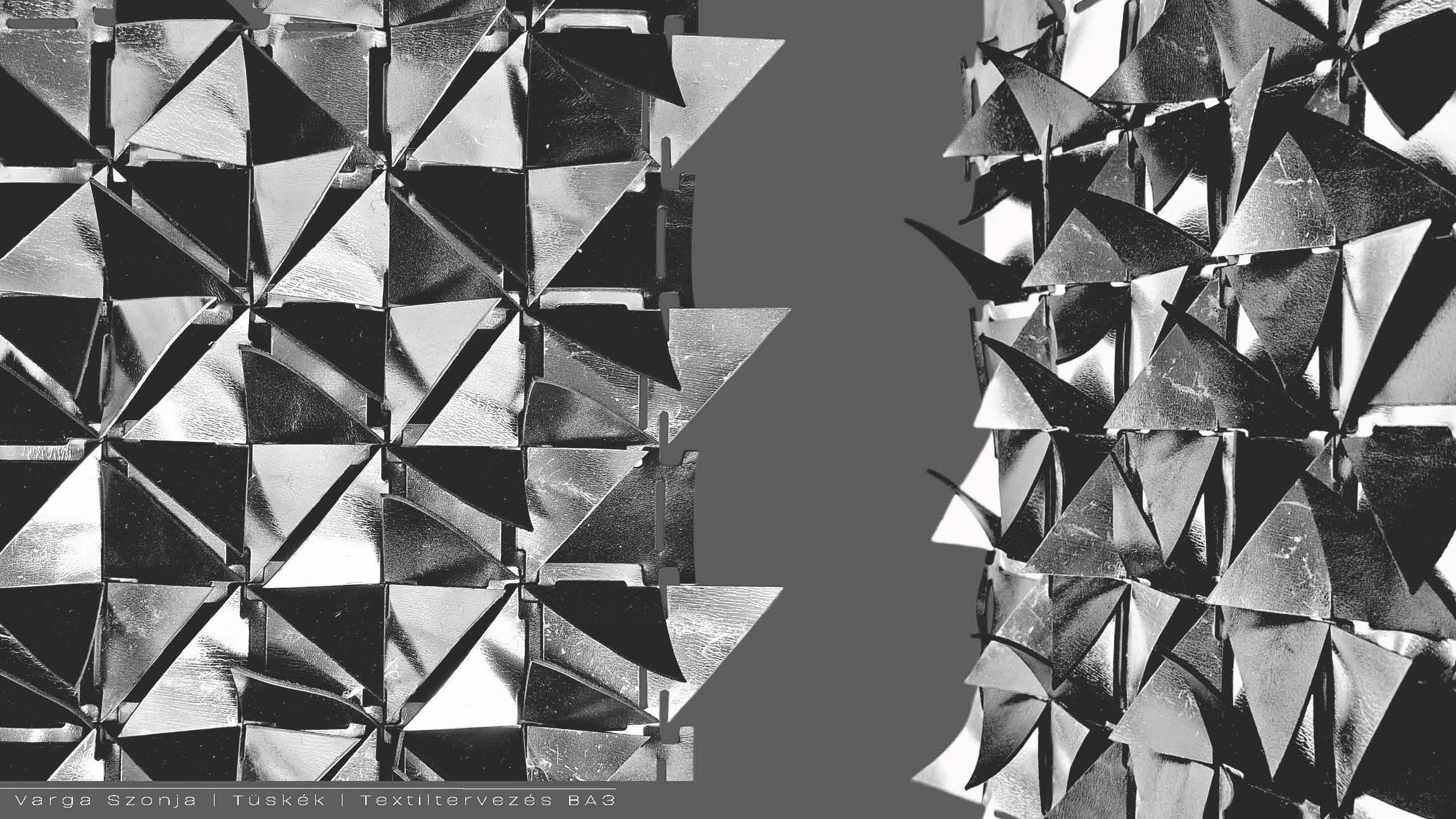 Varga Szonja_tüskék -TDK_2025