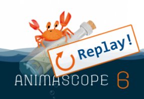 Animascope 6 Replay